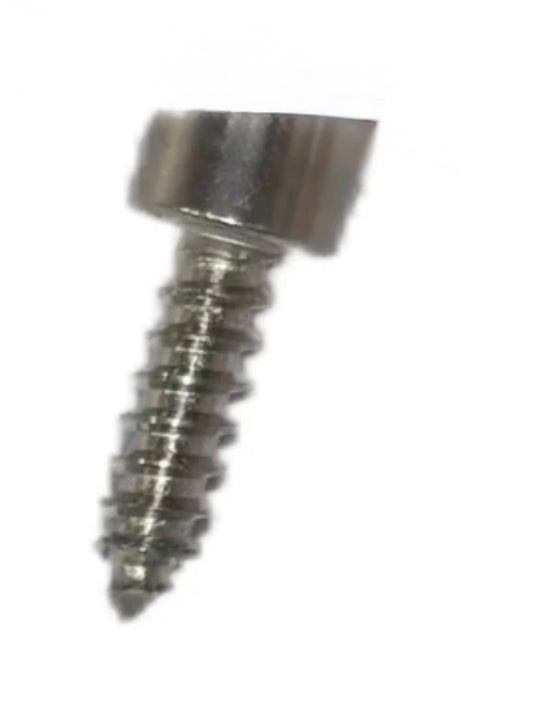Internal hexagon self tapping screw M3X10