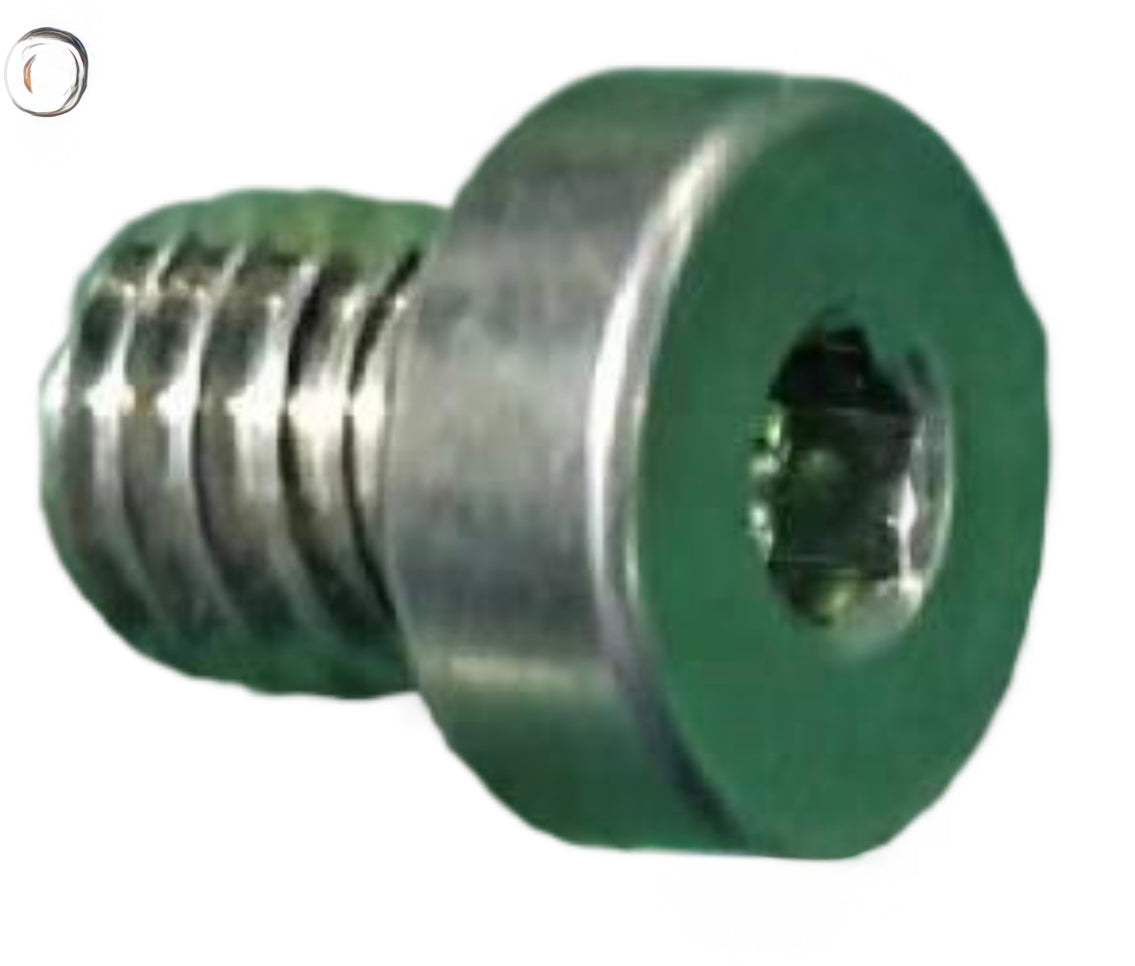 Internal hexagonal plug screw M10x1